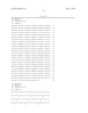 MANIPULATION OF GLUTAMINE SYMTHETASES (GS) TO IMPROVE NITROGEN USE     EFFICIENCY AND GRAIN YIELD IN HIGHER PLANTS diagram and image