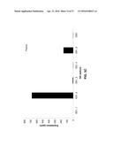 MANIPULATION OF GLUTAMINE SYMTHETASES (GS) TO IMPROVE NITROGEN USE     EFFICIENCY AND GRAIN YIELD IN HIGHER PLANTS diagram and image