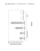 MANIPULATION OF GLUTAMINE SYMTHETASES (GS) TO IMPROVE NITROGEN USE     EFFICIENCY AND GRAIN YIELD IN HIGHER PLANTS diagram and image