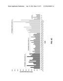 MANIPULATION OF GLUTAMINE SYMTHETASES (GS) TO IMPROVE NITROGEN USE     EFFICIENCY AND GRAIN YIELD IN HIGHER PLANTS diagram and image