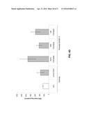 MANIPULATION OF GLUTAMINE SYMTHETASES (GS) TO IMPROVE NITROGEN USE     EFFICIENCY AND GRAIN YIELD IN HIGHER PLANTS diagram and image