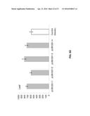 MANIPULATION OF GLUTAMINE SYMTHETASES (GS) TO IMPROVE NITROGEN USE     EFFICIENCY AND GRAIN YIELD IN HIGHER PLANTS diagram and image