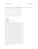 MANIPULATION OF GLUTAMINE SYMTHETASES (GS) TO IMPROVE NITROGEN USE     EFFICIENCY AND GRAIN YIELD IN HIGHER PLANTS diagram and image