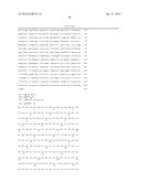 MANIPULATION OF GLUTAMINE SYMTHETASES (GS) TO IMPROVE NITROGEN USE     EFFICIENCY AND GRAIN YIELD IN HIGHER PLANTS diagram and image