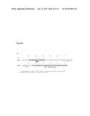 ATSP1, AN E3 UBIQUITIN LIGASE, AND ITS USE diagram and image