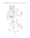 PHOTOCATALYTIC HYDROGEN PRODUCTION AND POLYPEPTIDES CAPABLE OF SAME diagram and image