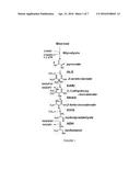 ISOBUTANOL PRODUCTION USING YEASTS WITH MODIFIED TRANSPORTER EXPRESSION diagram and image