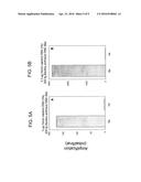 TARGETED WHOLE GENOME AMPLIFICATION METHOD FOR IDENTIFICATION OF PATHOGENS diagram and image