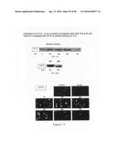 Traceability of Cellular Cycle Anomalies Targeting Oncology and     Neurodegeneration diagram and image