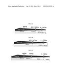 METHOD FOR CALCULATING DAMPING BASED ON FLUID INERTIA EFFECT AND FATIGUE     TEST METHOD AND APPARATUS USING THE SAME diagram and image