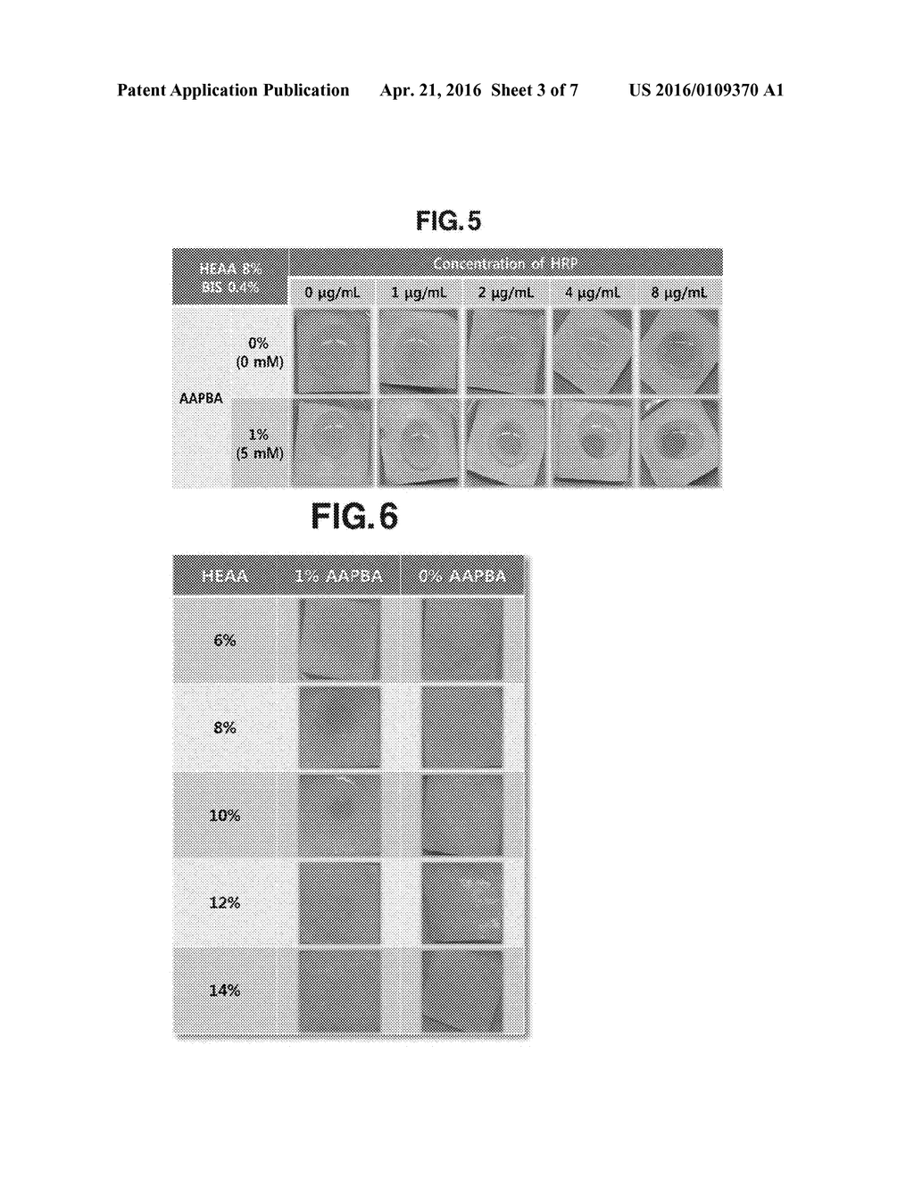 SENSOR FOR DETECTING SACCHARIDE AND MANUFACTURING METHOD THEREOF AND     DETECTION METHOD OF GLYCATED HEMOGLOBIN USING THE SAME - diagram, schematic, and image 04