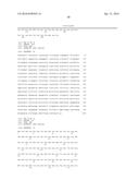 IDENTIFICATION OF BITTER LIGANDS THAT SPECIFICALLY ACTIVATE HUMAN T2R     RECEPTORS AND RELATED ASSAYS FOR IDENTIFYING HUMAN BITTER TASTE     MODULATORS diagram and image