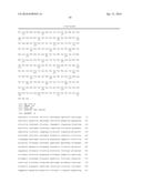 IDENTIFICATION OF BITTER LIGANDS THAT SPECIFICALLY ACTIVATE HUMAN T2R     RECEPTORS AND RELATED ASSAYS FOR IDENTIFYING HUMAN BITTER TASTE     MODULATORS diagram and image