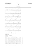 IDENTIFICATION OF BITTER LIGANDS THAT SPECIFICALLY ACTIVATE HUMAN T2R     RECEPTORS AND RELATED ASSAYS FOR IDENTIFYING HUMAN BITTER TASTE     MODULATORS diagram and image