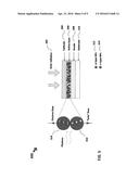 PHOTOVOLTAIC CELLS BASED ON DONOR AND ACCEPTOR NANO-PARTICULATE CONJUGATES     IN CONDUCTIVE POLYMER BLENDS diagram and image