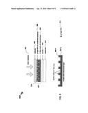 PHOTOVOLTAIC CELLS BASED ON DONOR AND ACCEPTOR NANO-PARTICULATE CONJUGATES     IN CONDUCTIVE POLYMER BLENDS diagram and image