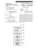 ELECTRODE MATERIAL WITH CORE-SHELL STRUCTURE diagram and image