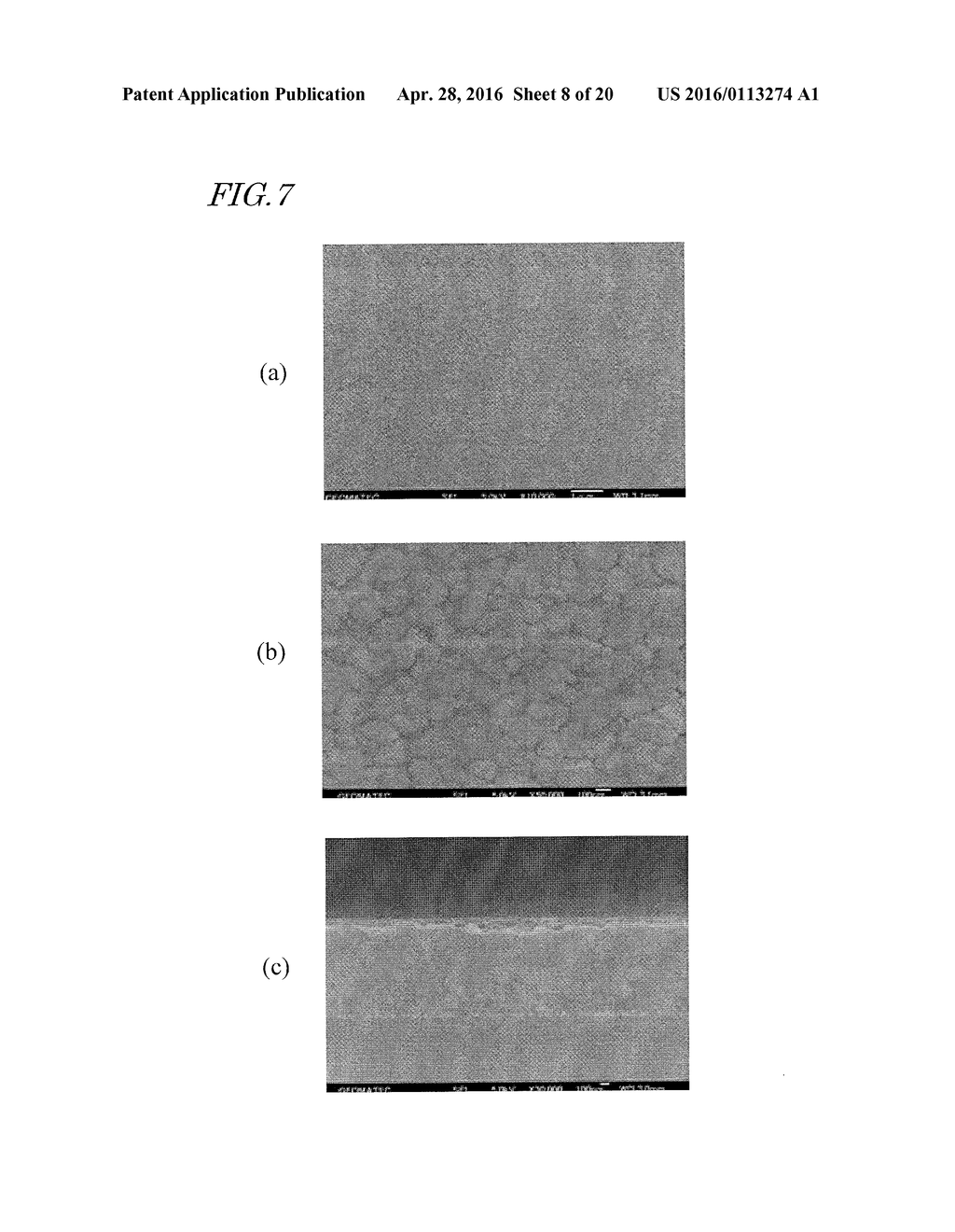 SYNTHETIC POLYMER FILM WHOSE SURFACE HAS MICROBICIDAL ACTIVITY, MULTILAYER     STRUCTURE HAVING SYNTHETIC POLYMER FILM, STERILIZATION METHOD WITH THE     USE OF SURFACE OF SYNTHETIC POLYMER FILM, METHOD FOR REACTIVATING SURFACE     OF SYNTHETIC POLYMER FILM, MOLD FOR PRODUCTION OF SYNTHETIC POLYMER FILM,     AND MOLD MANUFACTURING METHOD - diagram, schematic, and image 09