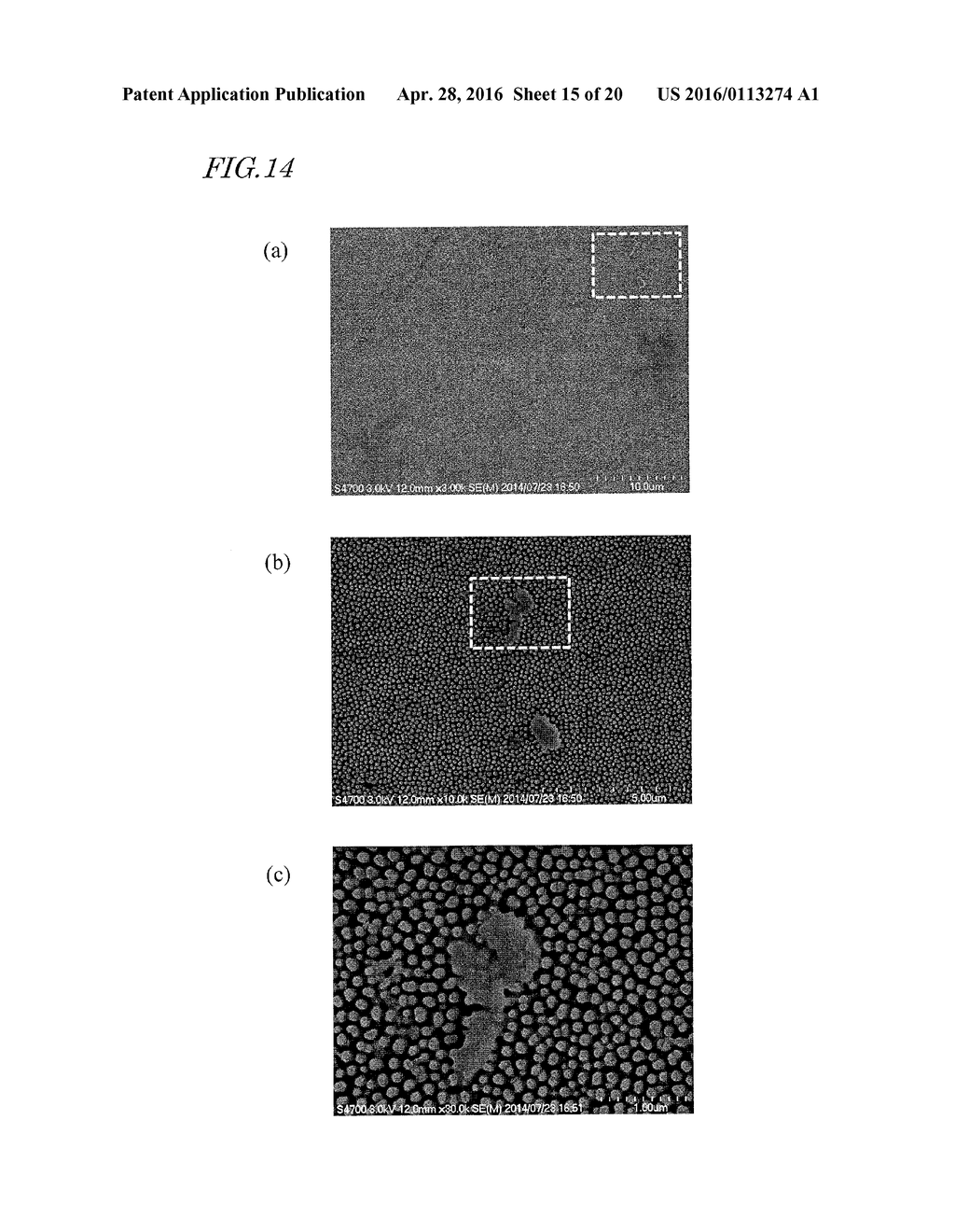 SYNTHETIC POLYMER FILM WHOSE SURFACE HAS MICROBICIDAL ACTIVITY, MULTILAYER     STRUCTURE HAVING SYNTHETIC POLYMER FILM, STERILIZATION METHOD WITH THE     USE OF SURFACE OF SYNTHETIC POLYMER FILM, METHOD FOR REACTIVATING SURFACE     OF SYNTHETIC POLYMER FILM, MOLD FOR PRODUCTION OF SYNTHETIC POLYMER FILM,     AND MOLD MANUFACTURING METHOD - diagram, schematic, and image 16