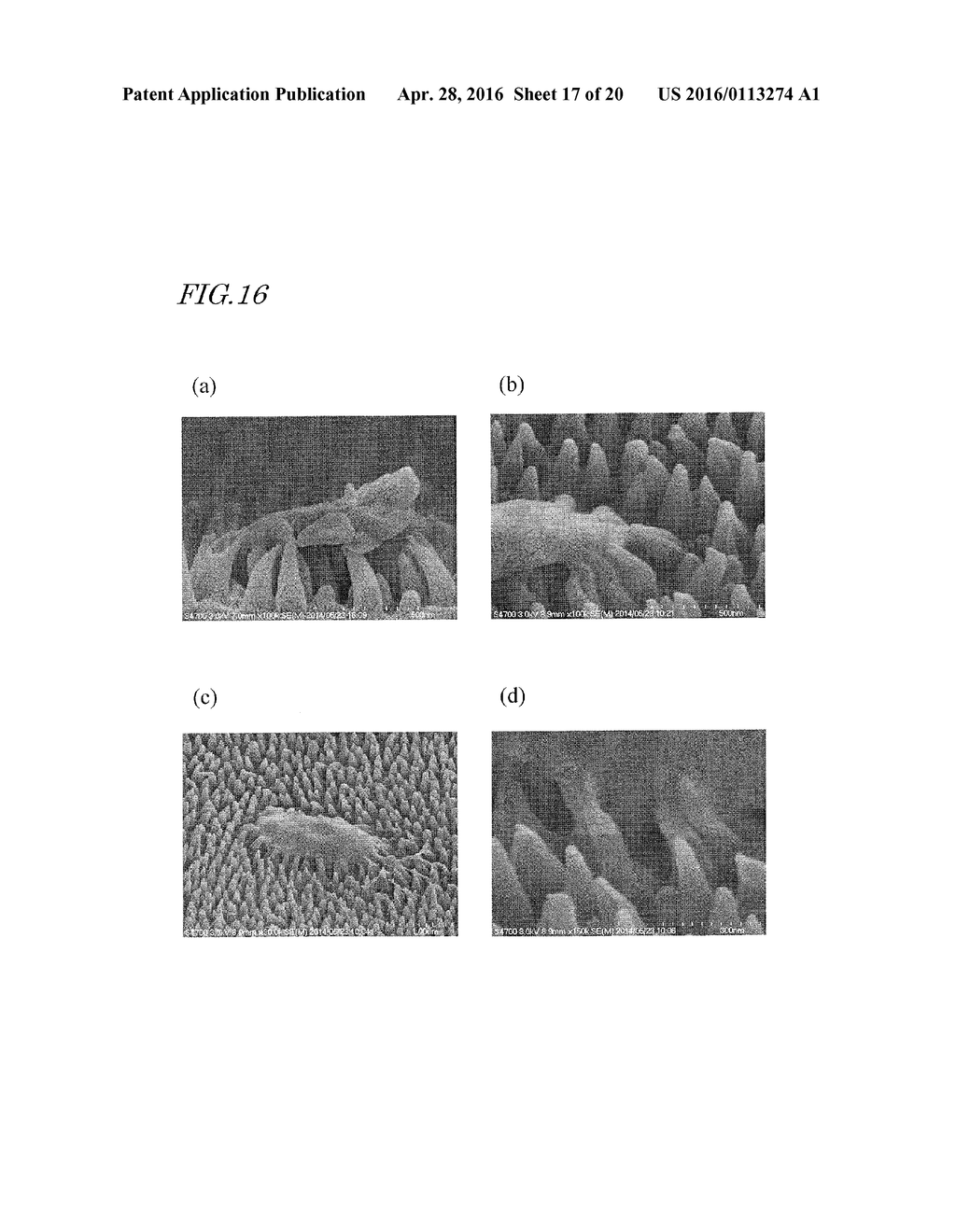 SYNTHETIC POLYMER FILM WHOSE SURFACE HAS MICROBICIDAL ACTIVITY, MULTILAYER     STRUCTURE HAVING SYNTHETIC POLYMER FILM, STERILIZATION METHOD WITH THE     USE OF SURFACE OF SYNTHETIC POLYMER FILM, METHOD FOR REACTIVATING SURFACE     OF SYNTHETIC POLYMER FILM, MOLD FOR PRODUCTION OF SYNTHETIC POLYMER FILM,     AND MOLD MANUFACTURING METHOD - diagram, schematic, and image 18