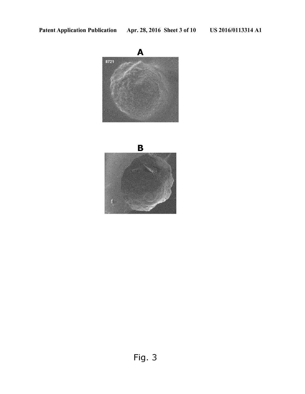 COFFEE OIL CAPSULES - diagram, schematic, and image 04