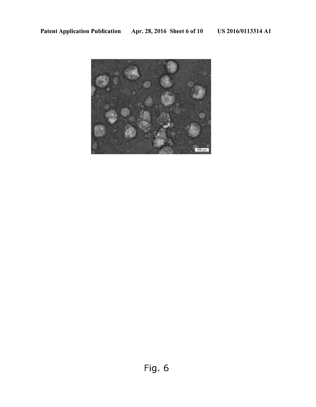 COFFEE OIL CAPSULES - diagram, schematic, and image 07