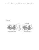 SYSTEMS AND METHODS FOR ON-SITE AND REAL-TIME ELECTROCARDIOGRAPHIC IMAGING     (ECGI) diagram and image