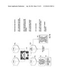 SYSTEMS, METHODS, COMPOSITIONS AND DEVICES FOR IN VIVO MAGNETIC RESONANCE     IMAGING OF LUNGS USING PERFLUORINATED GAS MIXTURES diagram and image