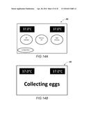 IVF EGG COLLECTION CHAMBER diagram and image