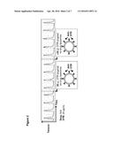 TARGETED DELIVERY OF DRUGS TO THE MYOMETRIUM diagram and image