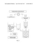 NOVEL NANOPARTICLE COMPOSITIONS diagram and image