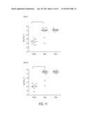 NOVEL NANOPARTICLE COMPOSITIONS diagram and image