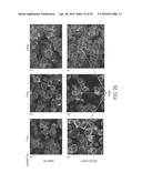 NOVEL NANOPARTICLE COMPOSITIONS diagram and image