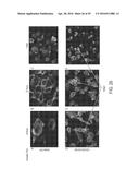 NOVEL NANOPARTICLE COMPOSITIONS diagram and image