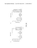 NOVEL NANOPARTICLE COMPOSITIONS diagram and image