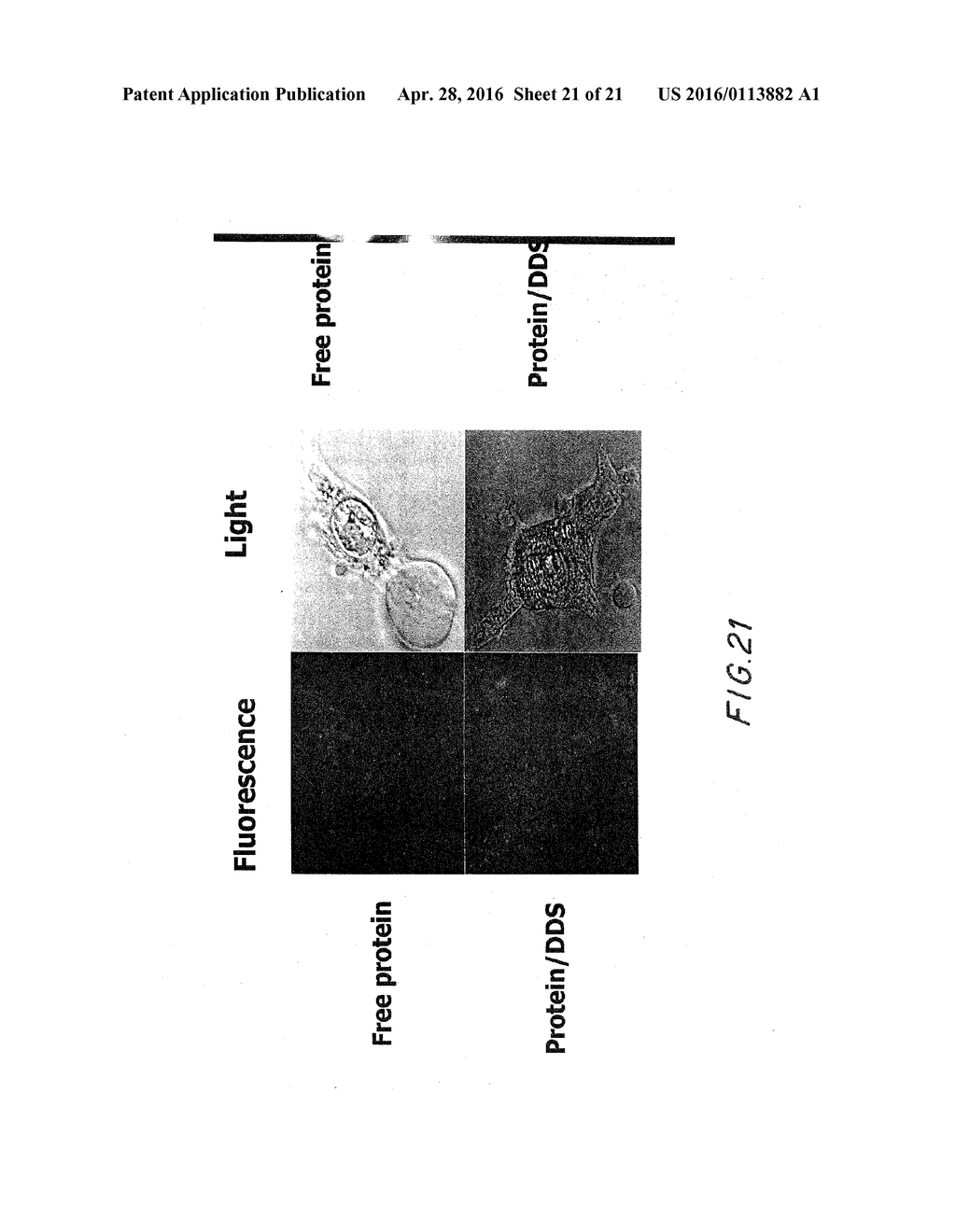 LIPIDATED GLYCOSAMINOGLYCAN PARTICLES AND THEIR USE IN DRUG AND GENE     DELIVERY FOR DIAGNOSIS AND THERAPY - diagram, schematic, and image 22