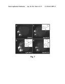 Small Molecule Inhibitors of Dusp6 and Uses Therefor diagram and image