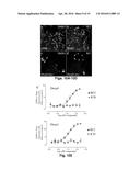 Small Molecule Inhibitors of Dusp6 and Uses Therefor diagram and image