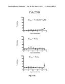 Small Molecule Inhibitors of Dusp6 and Uses Therefor diagram and image