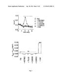 COMPOUNDS AS MODULATORS OF A MUTANT CFTR PROTEIN AND THEIR USE FOR     TREATING DISEASES ASSOCIATED WITH CFTR PROTEIN MALFUNCTION diagram and image