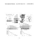 Method of Treating Cancer That Overexpresses TopBP1 diagram and image