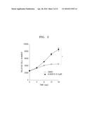 COMPOSITION INCLUDING ATM INHIBITOR FOR REDUCING CELLULAR SENESCENCE AND     USE OF THE COMPOSITION diagram and image