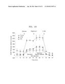 COMPOSITION INCLUDING ATM INHIBITOR FOR REDUCING CELLULAR SENESCENCE AND     USE OF THE COMPOSITION diagram and image