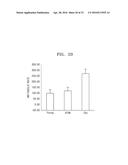 COMPOSITION INCLUDING ATM INHIBITOR FOR REDUCING CELLULAR SENESCENCE AND     USE OF THE COMPOSITION diagram and image