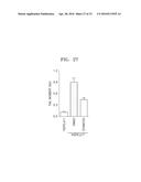 COMPOSITION INCLUDING ATM INHIBITOR FOR REDUCING CELLULAR SENESCENCE AND     USE OF THE COMPOSITION diagram and image