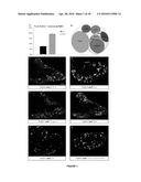 TAFA4 COMPOUNDS AND USES THEREOF FOR TREATING PAIN diagram and image