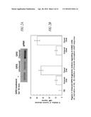 COMPOSITIONS AND METHODS COMPRISING GLYCYL-TRNA SYNTHETASES HAVING     NON-CANONICAL BIOLOGICAL ACTIVITIES diagram and image