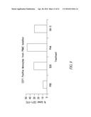 COMPOSITIONS AND METHODS COMPRISING GLYCYL-TRNA SYNTHETASES HAVING     NON-CANONICAL BIOLOGICAL ACTIVITIES diagram and image