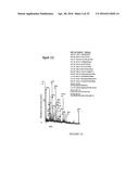 Targets and compositions for use in decontamination, immunoprophylaxis,     and post-exposure therapy against anthrax diagram and image