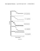 Targets and compositions for use in decontamination, immunoprophylaxis,     and post-exposure therapy against anthrax diagram and image